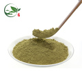 Extracto de té blanco orgánico natural del fabricante 100% natural / polvo del té blanco / polvo de la saponina del té